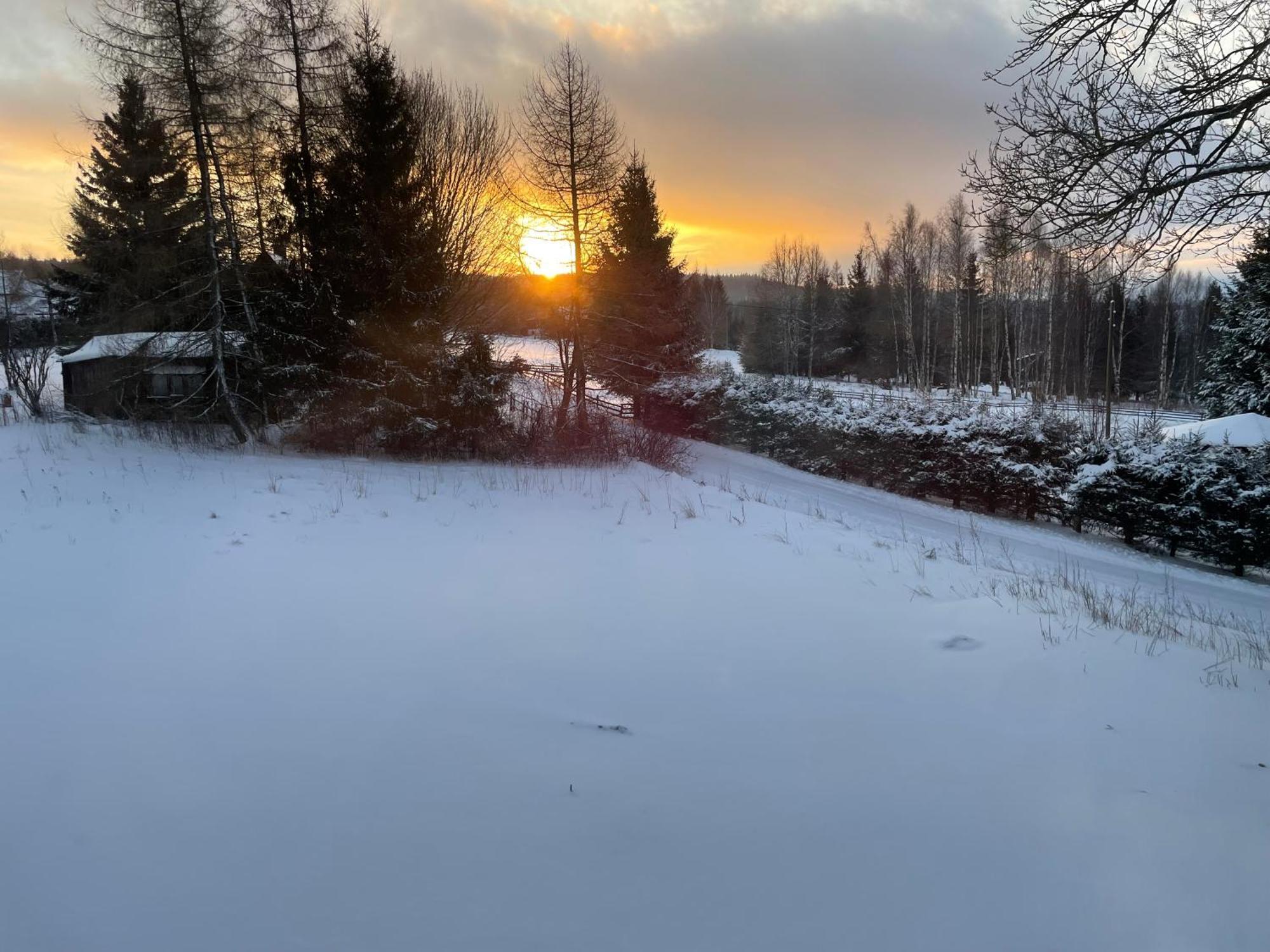 Lasoweczka